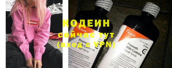 первитин Каменка