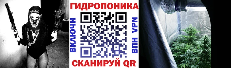 Марихуана марихуана Галич